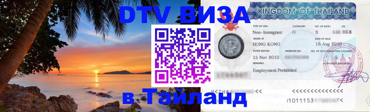Оформление DTV визы под ключ: стоимость и тарифы, только загранпаспорт - Мурино 